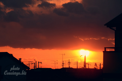 D62_6055.jpg