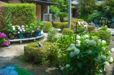 D71_8908.jpg