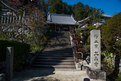 IMG-0006.jpg