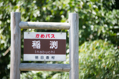 IMG-0089.jpg