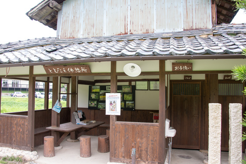 PHC-0051.jpg