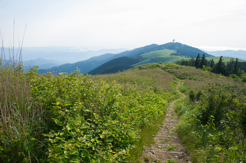 PHC-0125.jpg