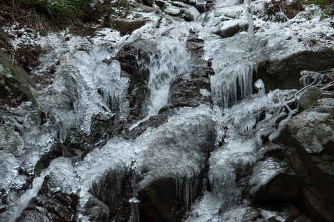 PHC-0330.jpg