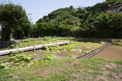 PHC-0393.jpg