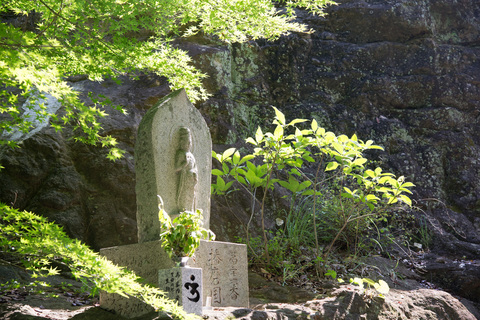 PHC-0530.jpg