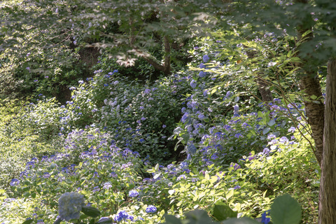 PHC-0534.jpg