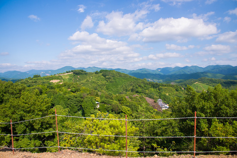 PHC-0543.jpg