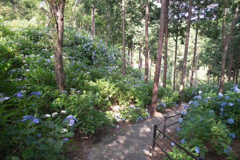 PHC-0549.jpg