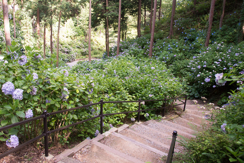 PHC-0551.jpg