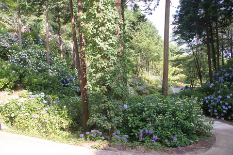 PHC-0553.jpg