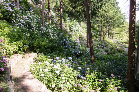 PHC-0554.jpg