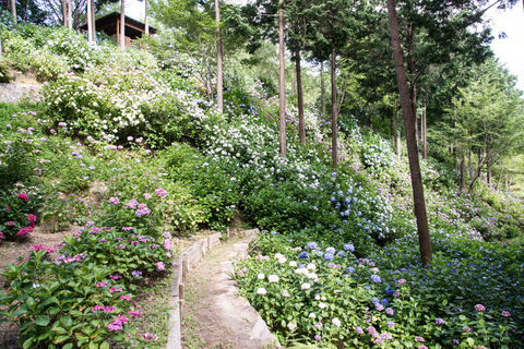 PHC-0555.jpg