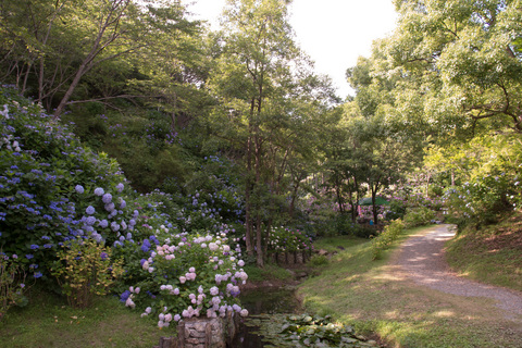 PHC-0559.jpg