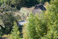 PHC0310.jpg
