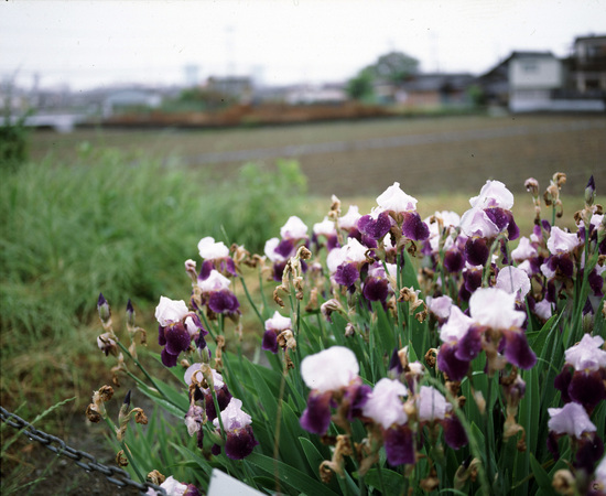 RZ670003.jpg