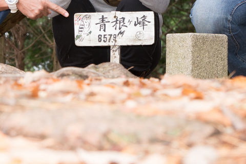 S61_2535.jpg