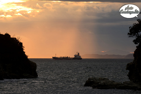 S61_8801.jpg