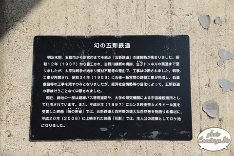 S61_9204.jpg