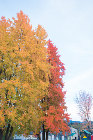 S62_3238.jpg