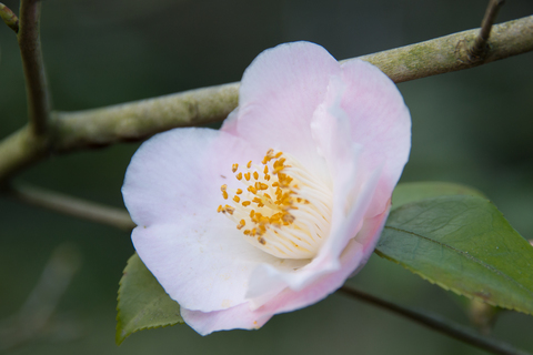 S62_8141.jpg