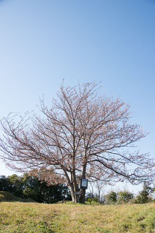 S62_8227.jpg