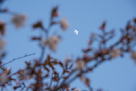 S62_8557.jpg