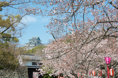 S62_8588.jpg