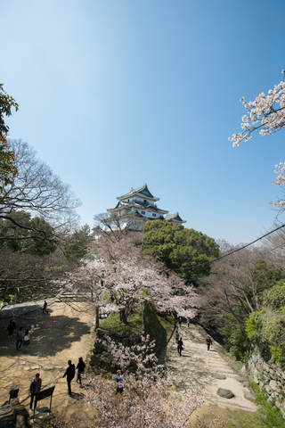 S62_8673.jpg