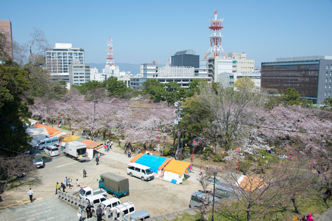 S62_8700.jpg