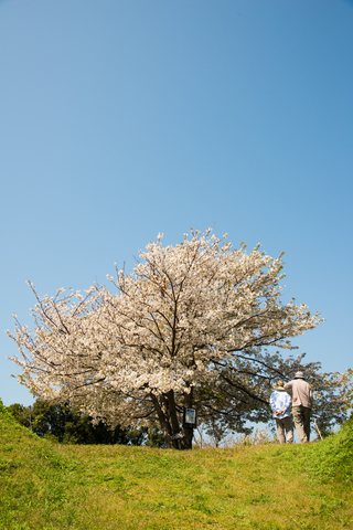 S62_9255.jpg