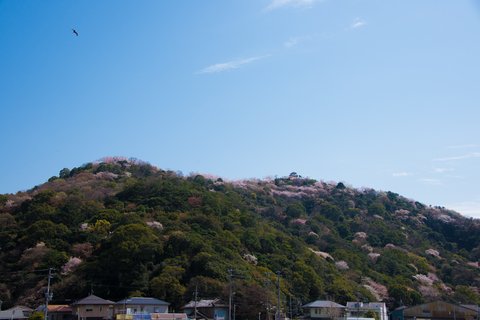 S62_9281.jpg