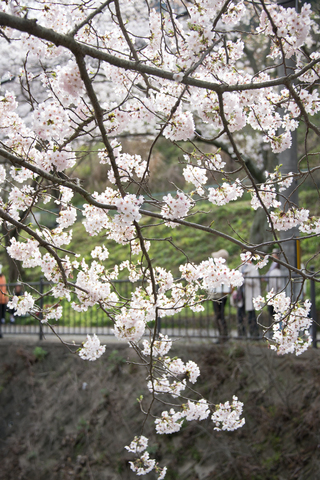 S62_9361.jpg