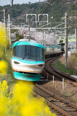 S62_9400.jpg