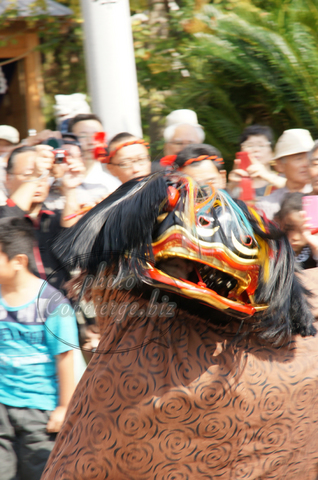 和歌山県指定無形文化財である木ノ本の獅子舞