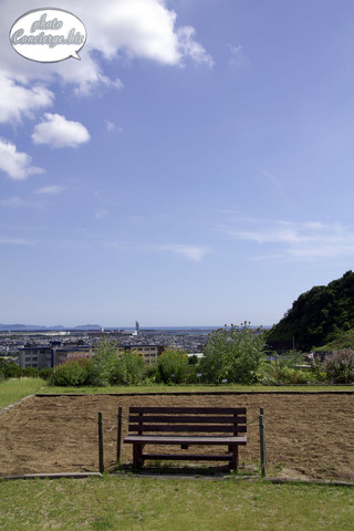 shin-2010-1381.jpg